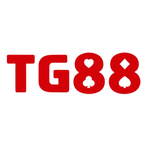 tg884com