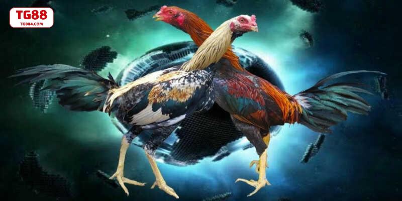 Sân chơi Savan hoạt động ở khu biên giới Việt Lào